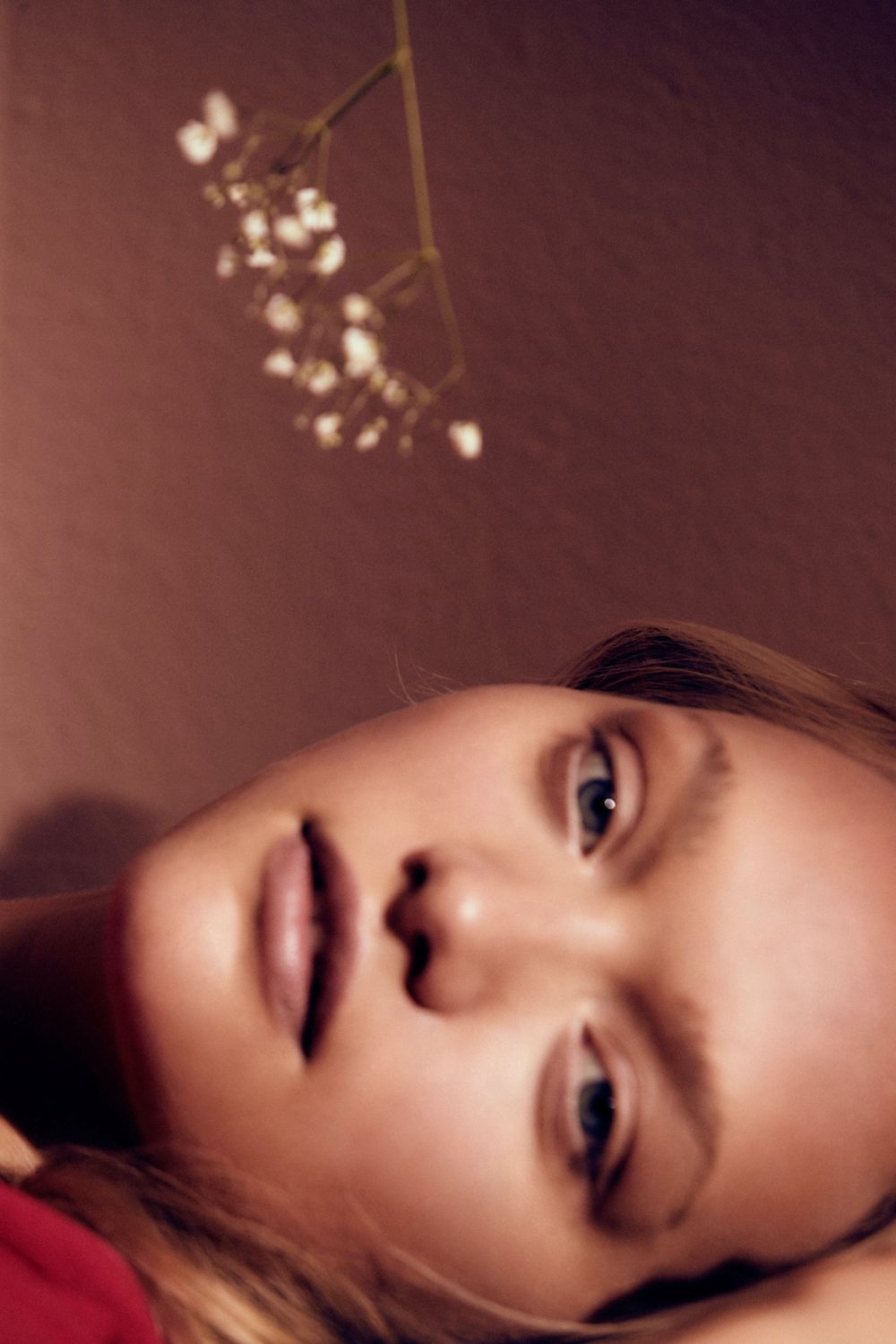 Gemma Wallflower