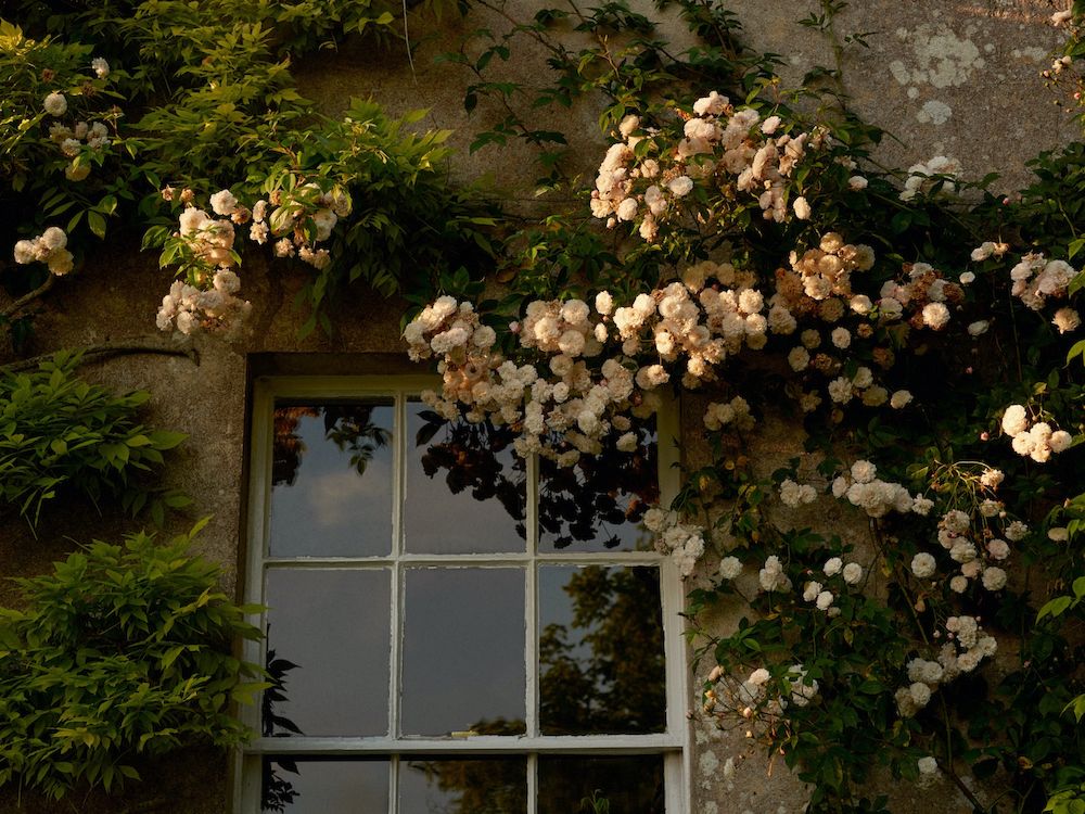 The Constant Gardener