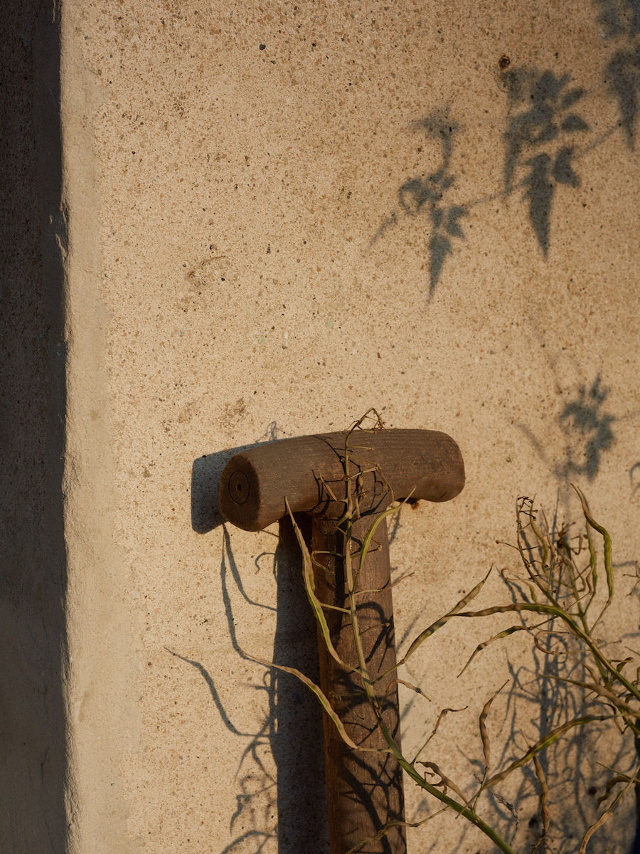 The Constant Gardener