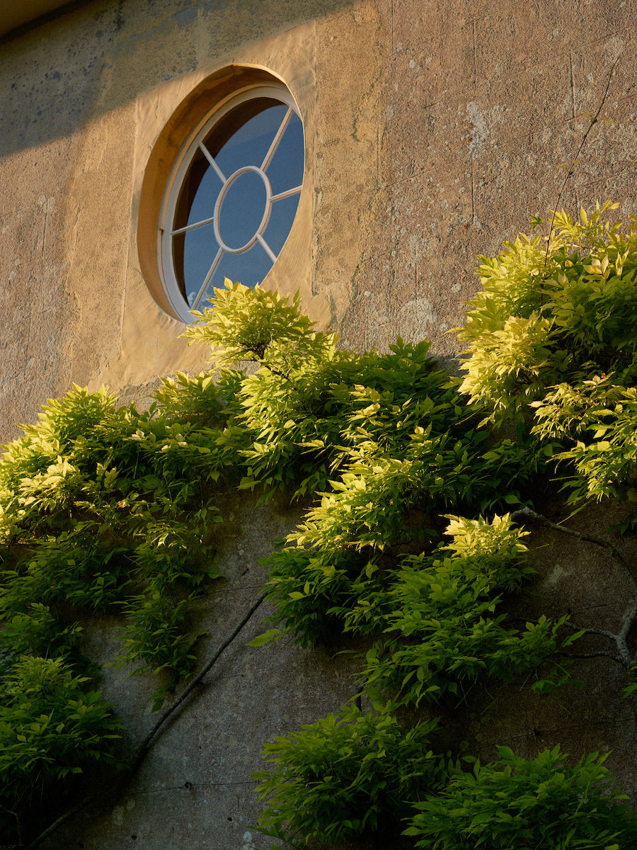 The Constant Gardener
