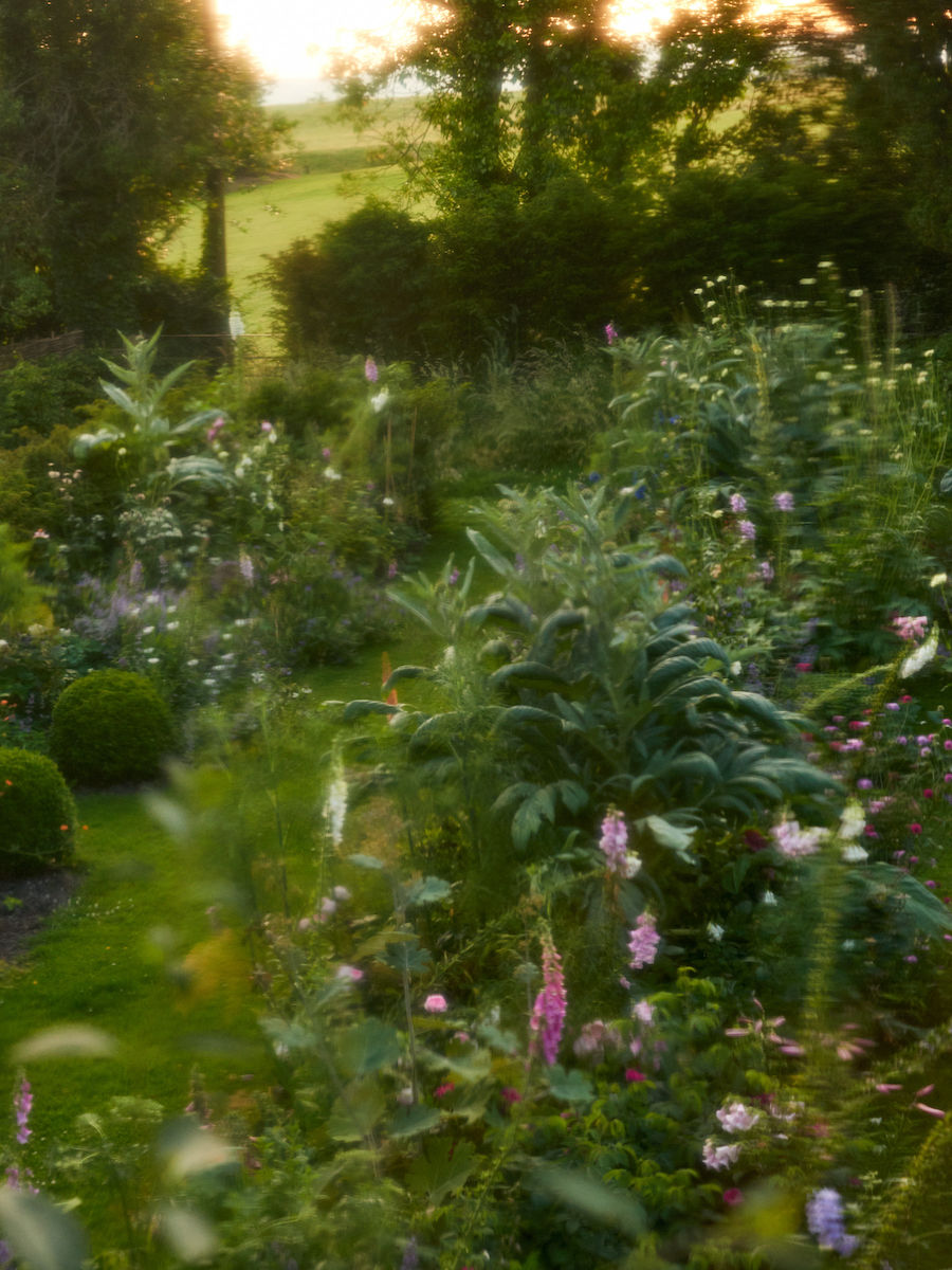 The Constant Gardener