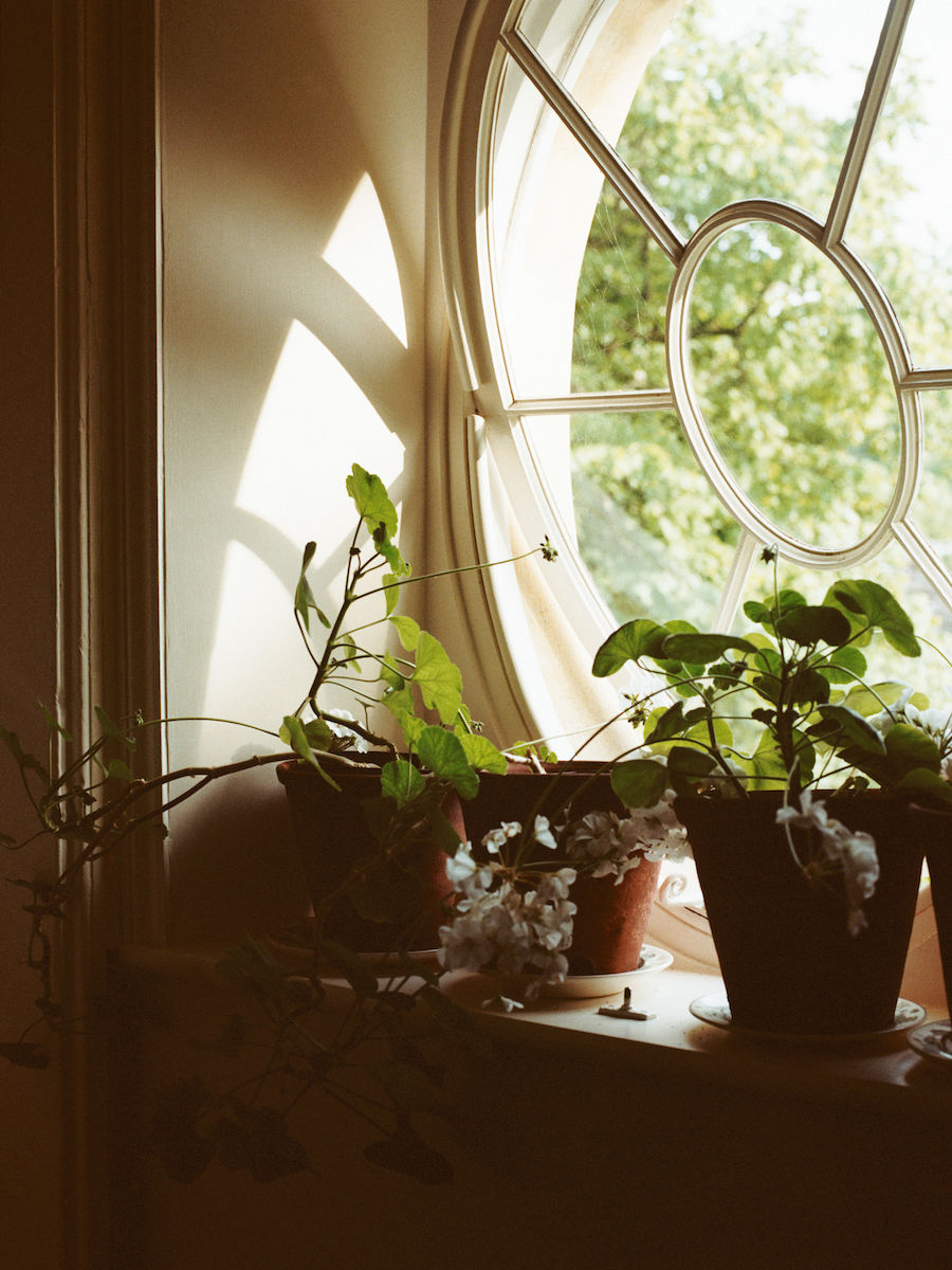 The Constant Gardener
