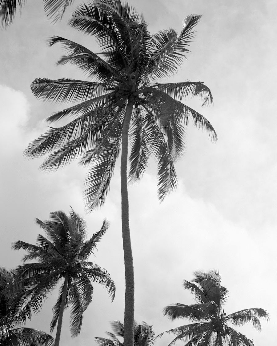 My Island Home