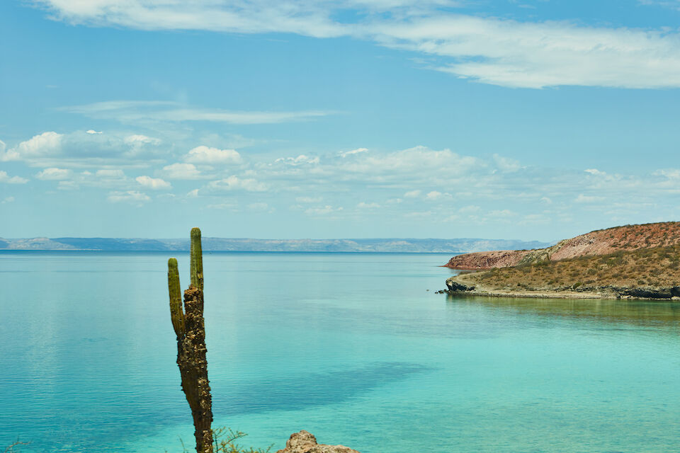 Todos Santos