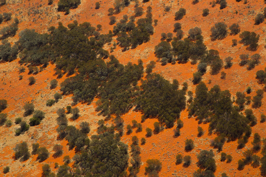 The Red Centre
