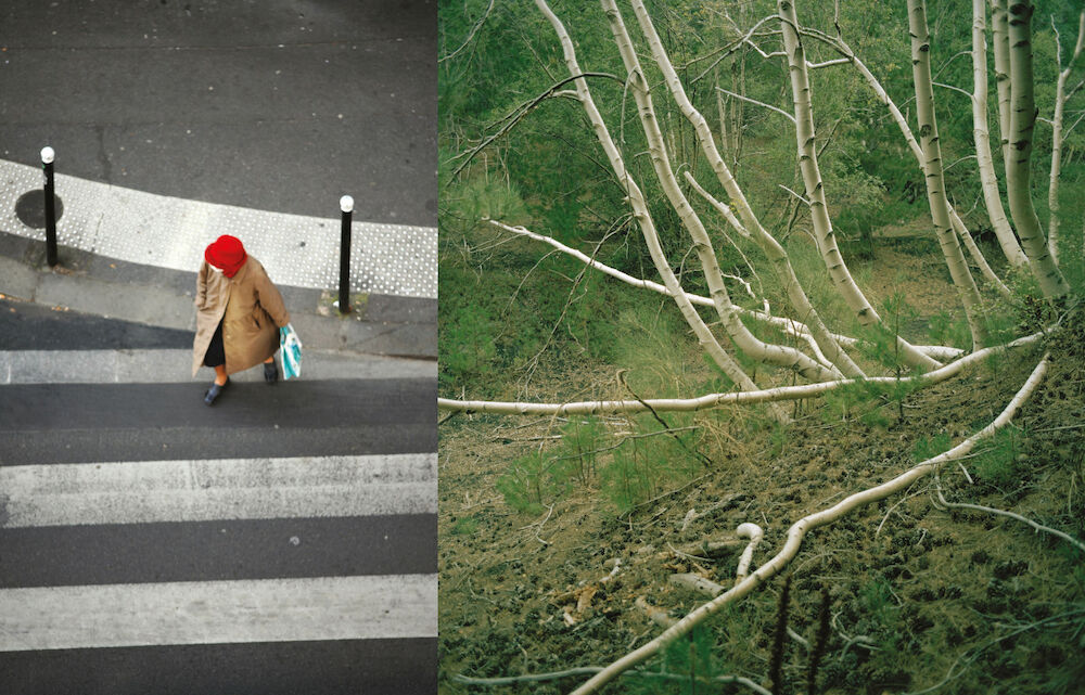 Human Nature / Mother Nature