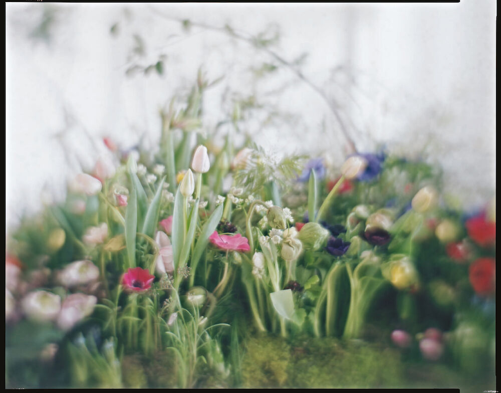 Human Nature / Mother Nature