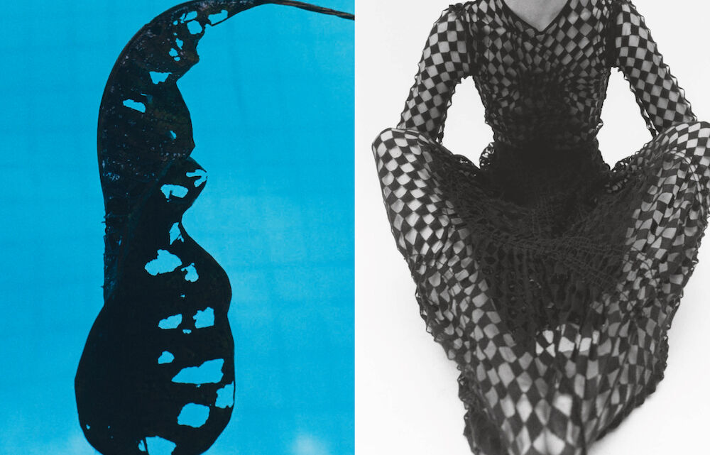 Human Nature / Mother Nature