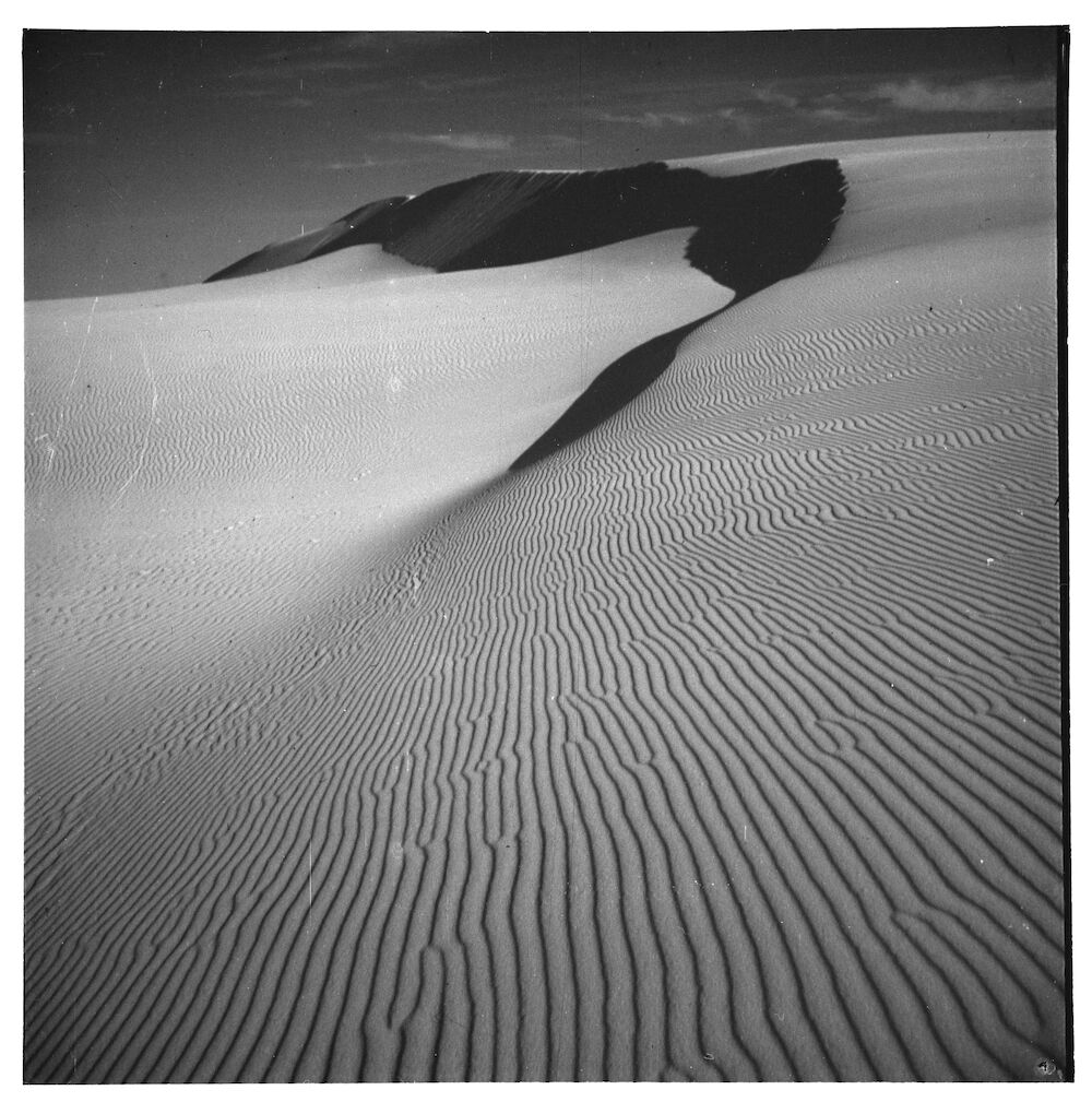 Light and Shadow: Max Dupain