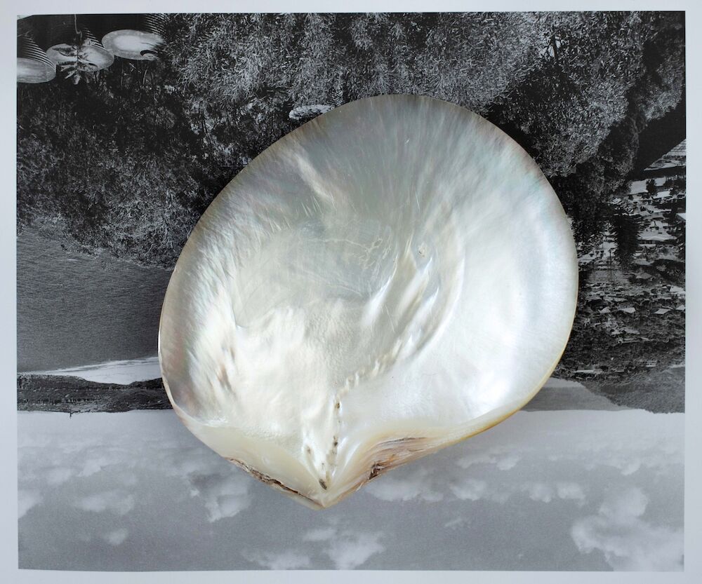 Pure Shores