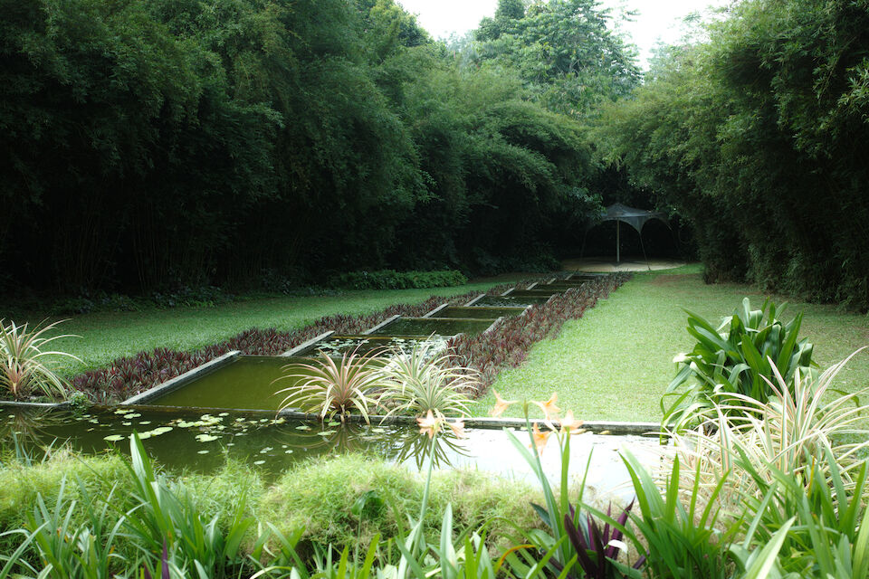 A Tale of Two Gardens