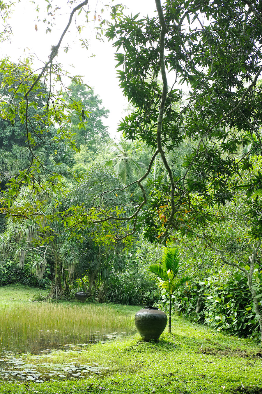 A Tale of Two Gardens