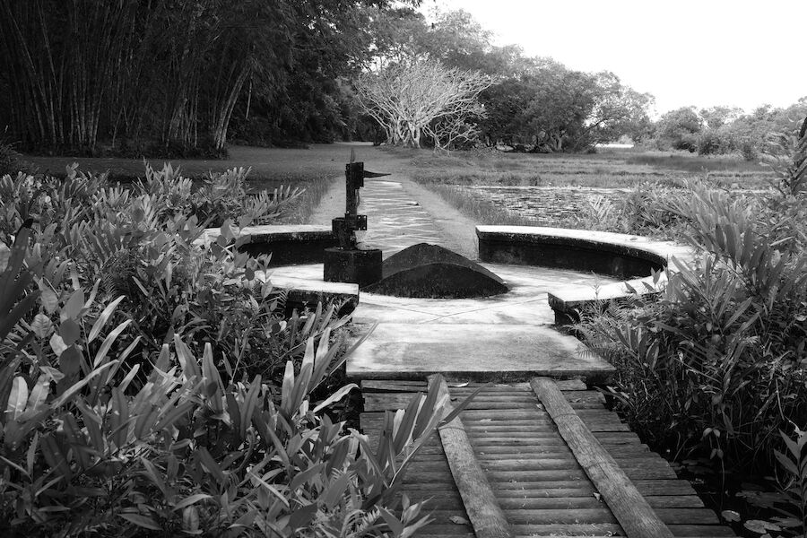 A Tale of Two Gardens