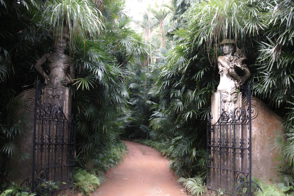 A Tale of Two Gardens