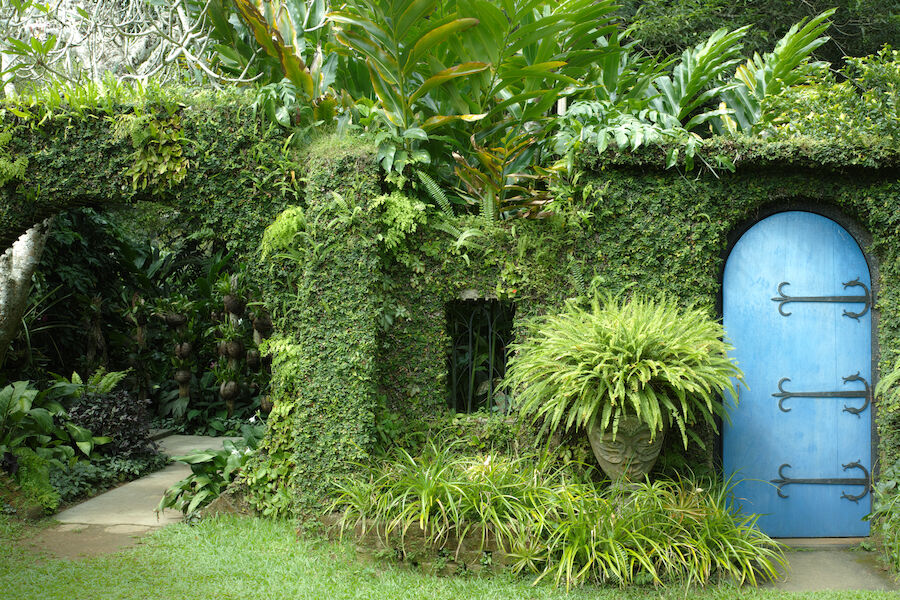 A Tale of Two Gardens