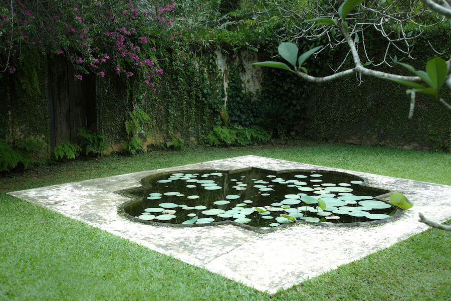 A Tale of Two Gardens