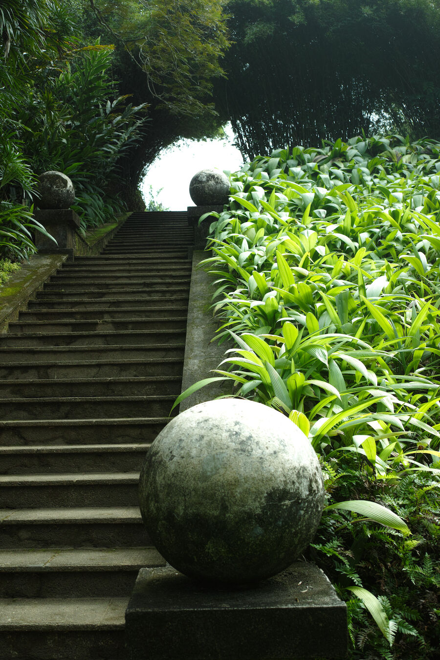 A Tale of Two Gardens