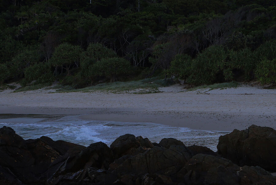 48 hours curated in Byron Bay